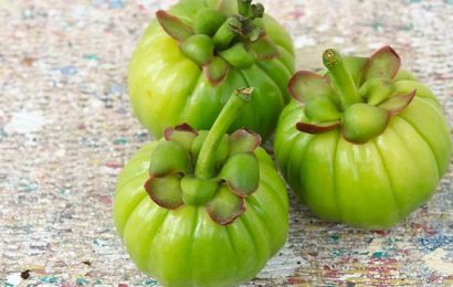 What is Garcinia Cambogia & What are Its Benefits?