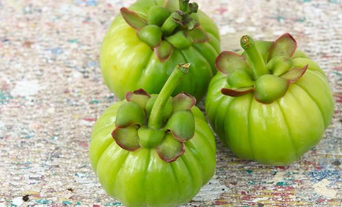 What is Garcinia Cambogia & What are Its Benefits?