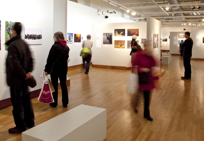 Why to Organize an Art Exhibition?