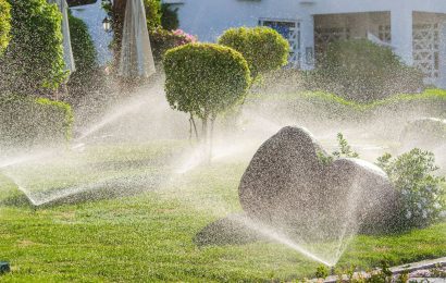 What is a Sprinkler Irrigation System?
