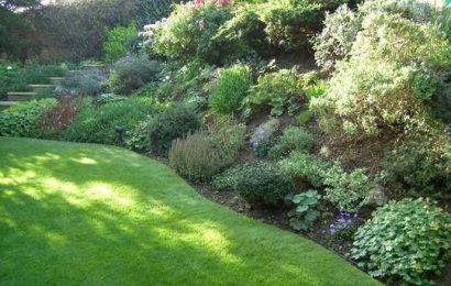 7 Tips and Tricks for Starting a Garden on a Slope