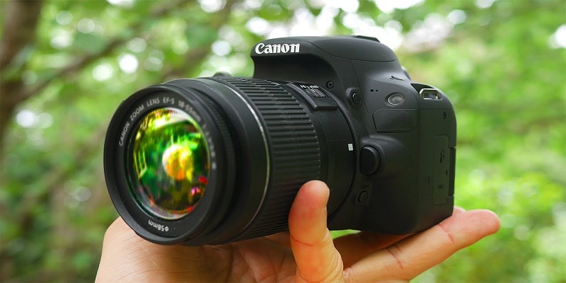 A Brief Introduction to the DSLR Cameras