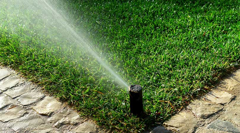 What Are The Types Of Irrigation Systems For Lawns?