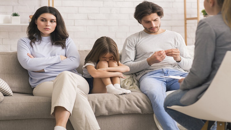 Family Therapy And The Methodology